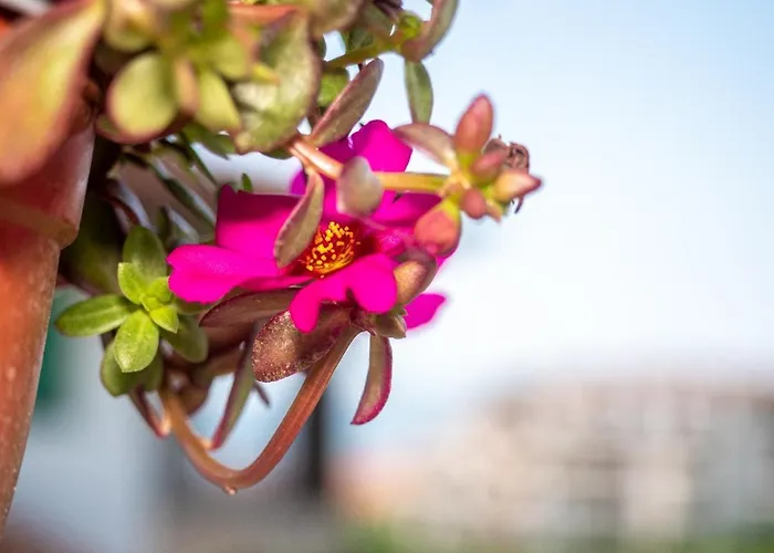 Hotel Buongiorno! Premium 2*